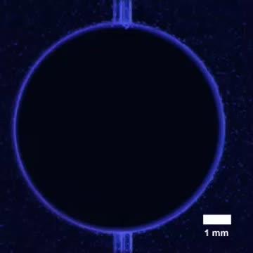 Healing Polymer Materials from the Inside Out (15 of 15)