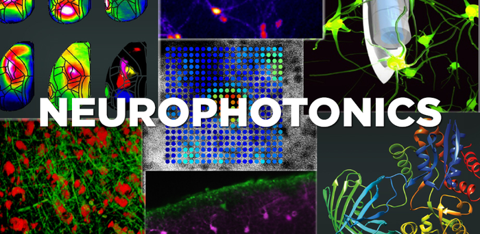 SPIE journal Neurophotonics publishes extensi