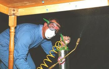 Contact Tracing and Targeted Insecticide Spraying Can Curb Dengue Outbreaks