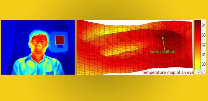 Thermal image of FDA scientist Q. Wang, with temperature map of an eye