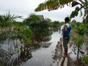 Man stands on logs in water looking across fields of water with vegetation including palms sticking out