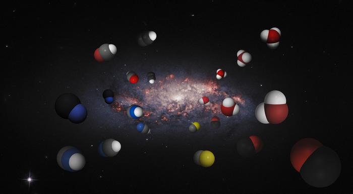 Molecules found in the galaxy NCv1.143