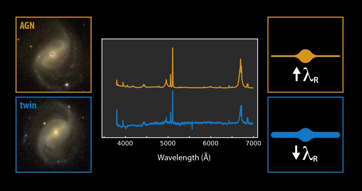 Comparison between An Active Spiral and Its Non-Active Twin