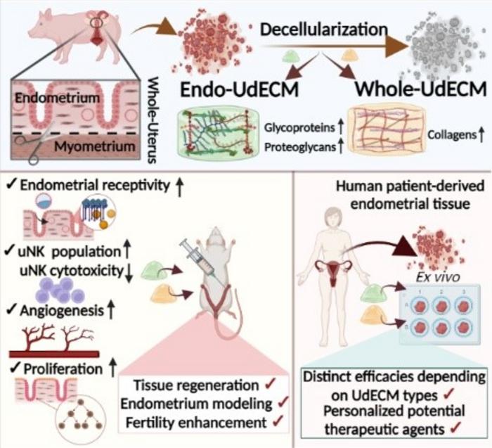 A novel hydrogel may be a beacon of hope for