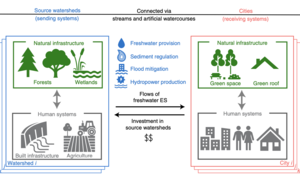 Thirsty cities require a tightly knit web of built and natural structure