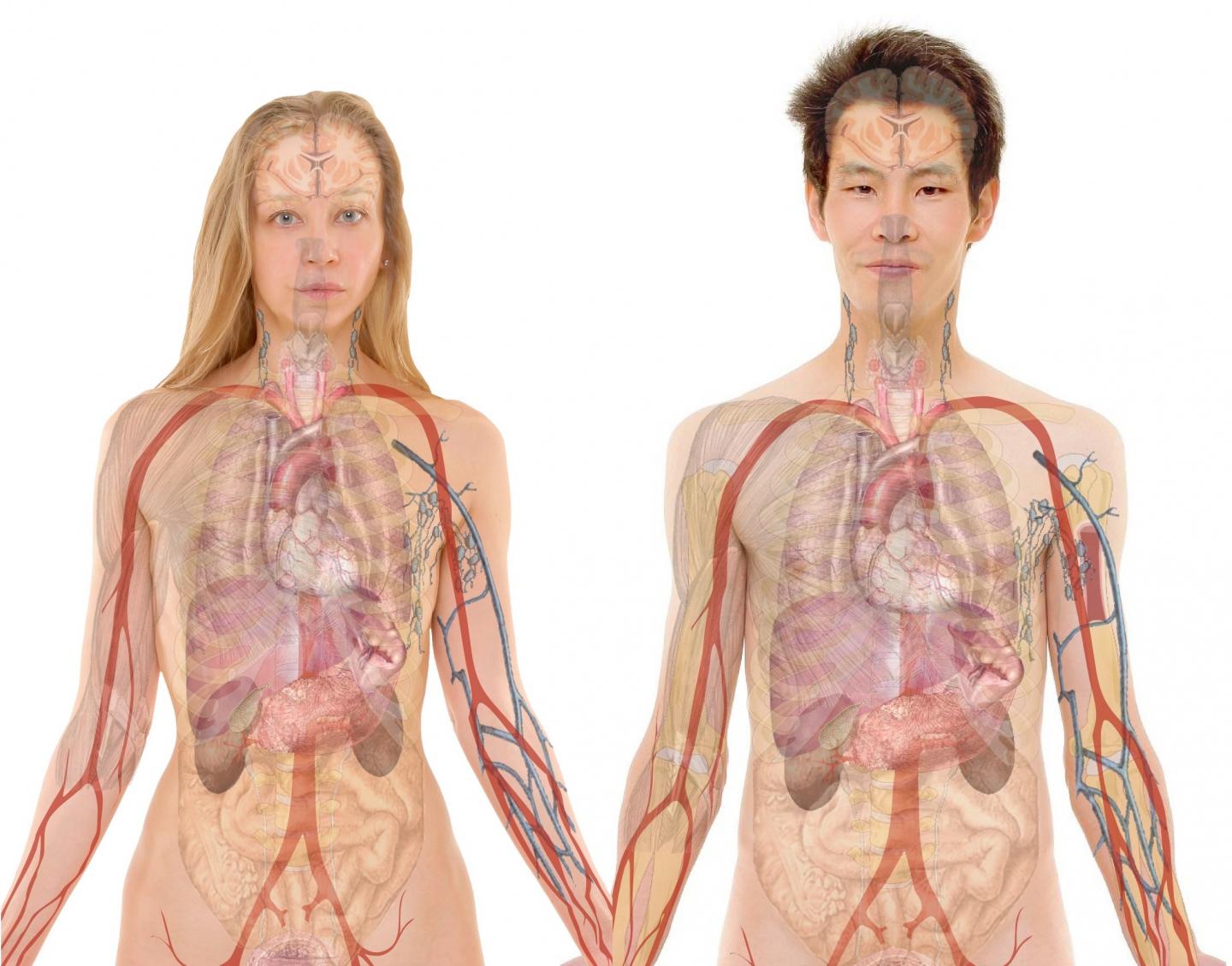 Sex as a biological variable in genomic analyses