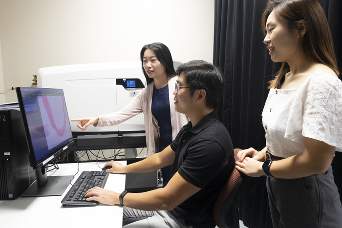 Singapore scientists pinpoint how non-alcoholic fatty liver disease increases risk of vascular diseases