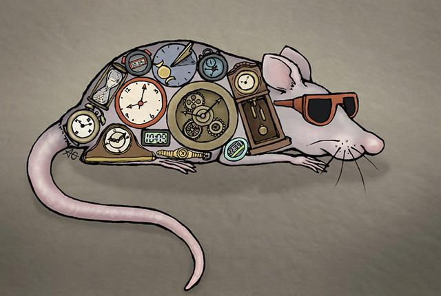 Clock Mouse