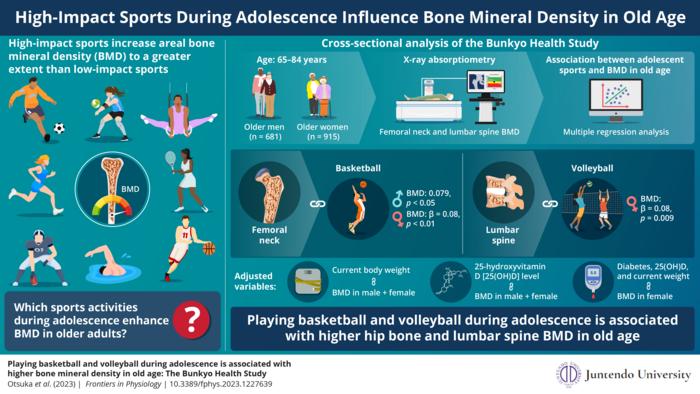 Which sports activities during adolescence enhance bone mineral density in older adults? Image caption: Researchers from Juntendo University in Japan show that older adults who had engaged in high-impact sports during their adolescent years incur long-ter