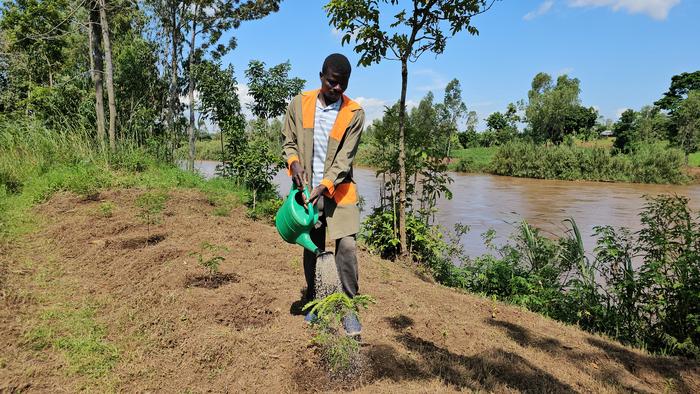 Reforestation in Western Kenya