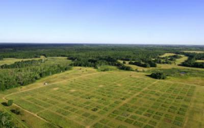 Prairies and Forests in the NSF Cedar Creek LTER Site