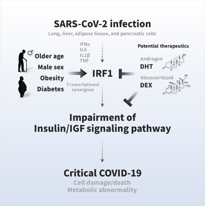 Fig. Pathogenesis of COVID-19 symptoms and therapeutic strategies.