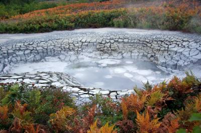 Encrusted Pool