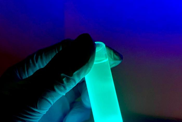 fluorescent polyionic nanoclays 2