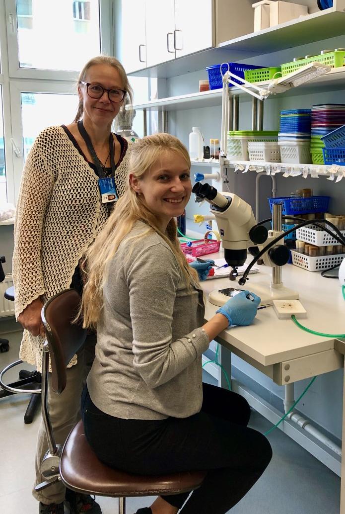 Researchers of TalTech Neurobiology Laboratory Mari Palgi and Laura Tamberg.