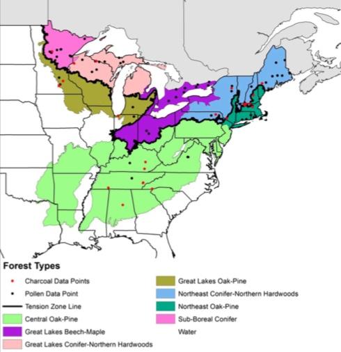 Forest Map