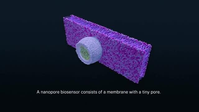 Tuning a Nanopore Biosensor