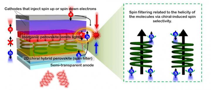 Spin LED