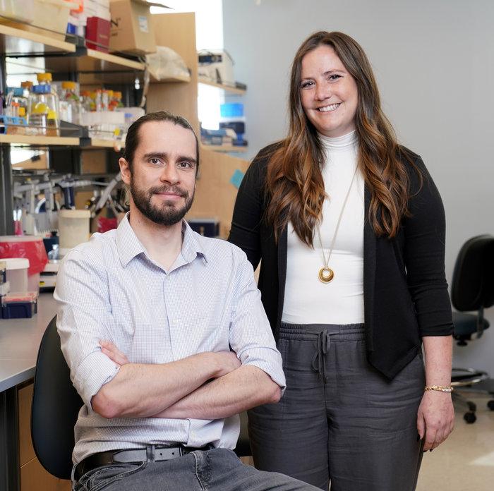 Researchers identify zinc metallochaperone