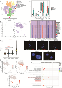 Integrated single-cell transcriptome landscape and CNV of bone marrow cells in multiple myeloma and normal controls.