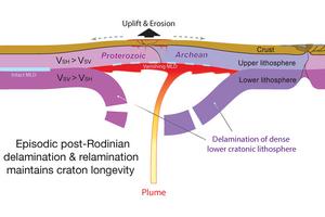 Cross secitonal view of new hypothesis