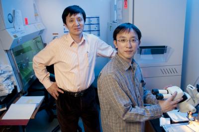 Professor Liqun Luo and Kazunari Miyamichi, Stanford University