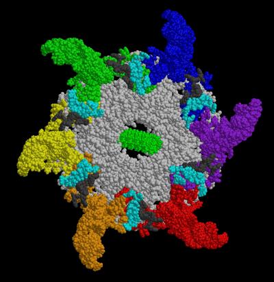 Image of the phi29 Nanomotor