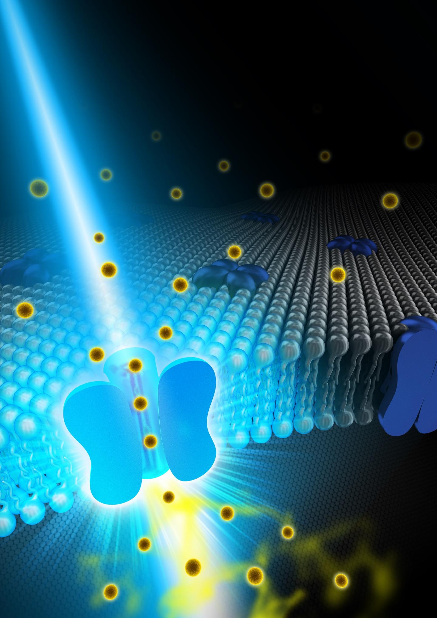 Artist Representation of a Ca2+ Channel Affected by OptoSTIM1