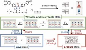 A urea-based axially polar-ferroelectric columnar liquid crystal (AP-FCLC) system