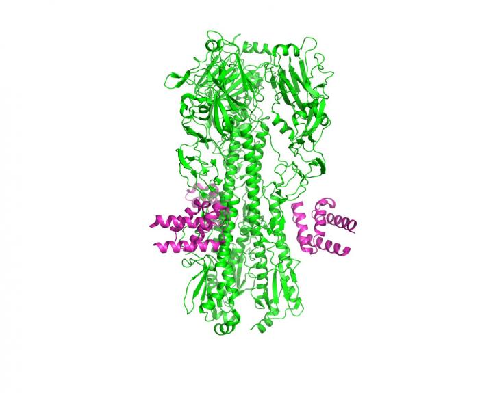 Fighting Flu with Designer Drugs