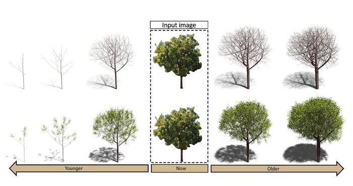 Tree-D Fusion modeling