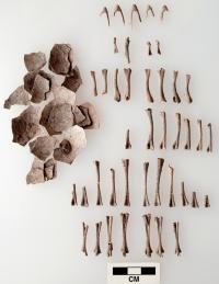 Mike Ruggeri's Zapotec World Magazine cover image