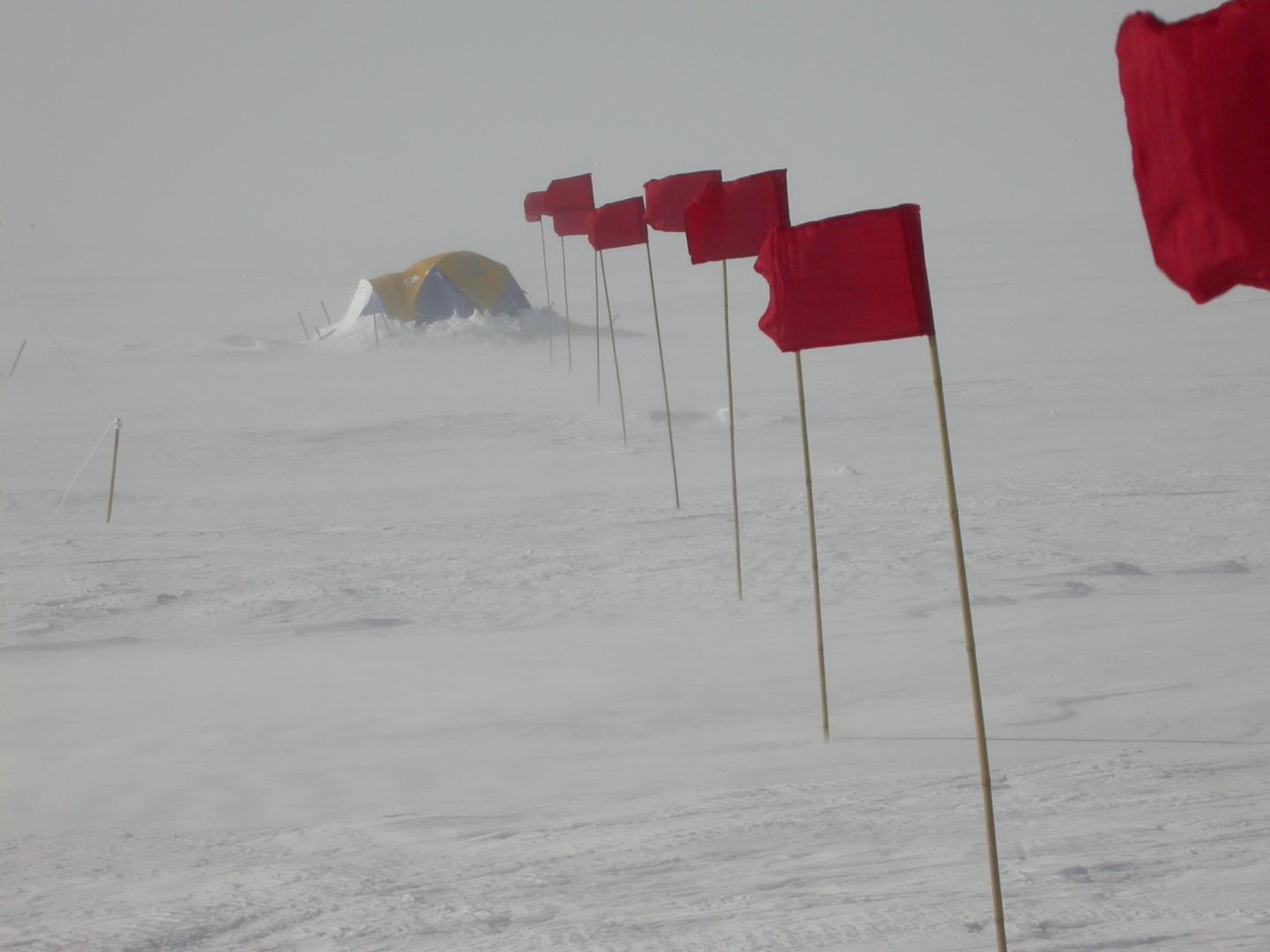 Snow Camp [IMAGE] EurekAlert! Science News Releases