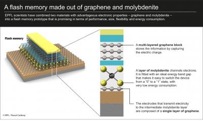 Flash Memory Made out of Graphene and Molybdenite