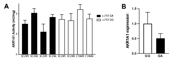 Figure 3: AKR enzymatic activity and AKR1A1 gene expression in human