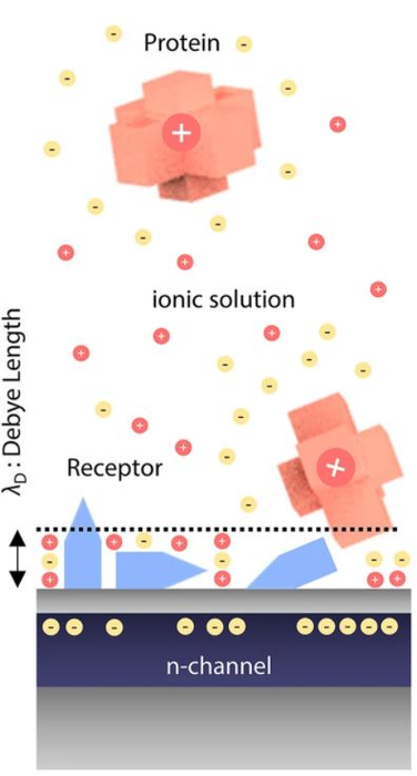 Electrical sensing in ionic environments and schematic of the SLB-assisted FET measurement setup