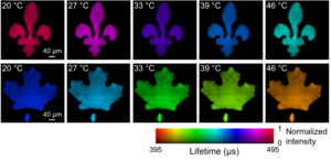 Temperature of a maple leaf pattern and a lily flower pattern