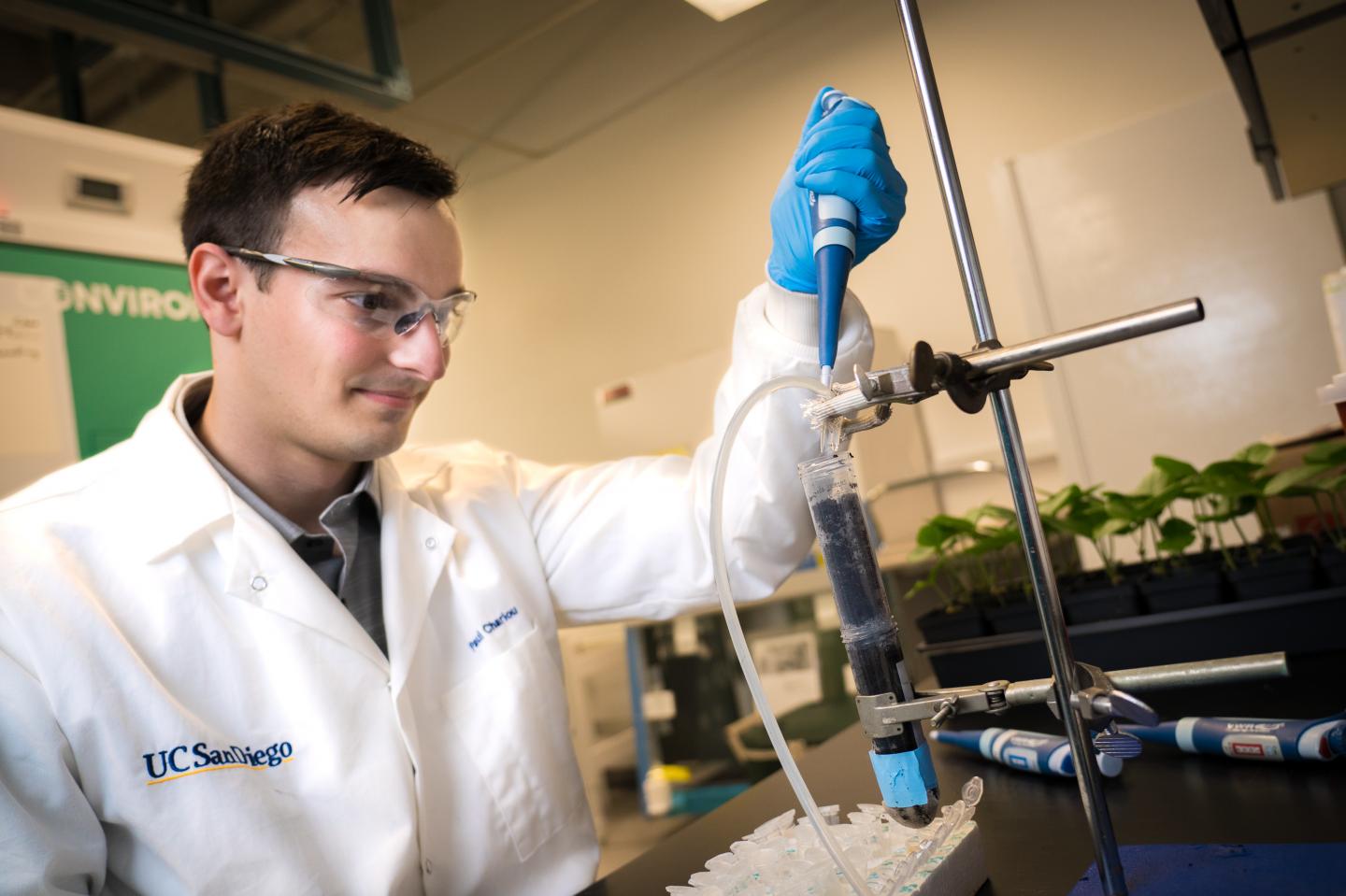 plant virus for targeted pesticide delivery - 2