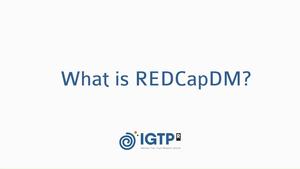 Video about the package REDCapDM