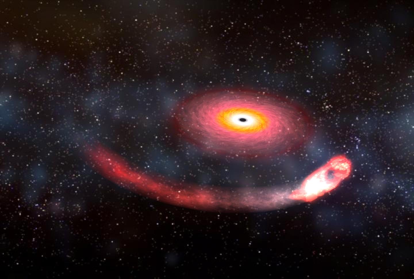 A black hole devours a neutron star