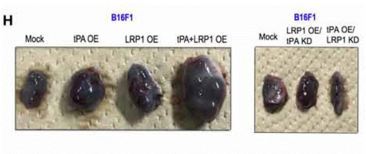 Blocking Interaction