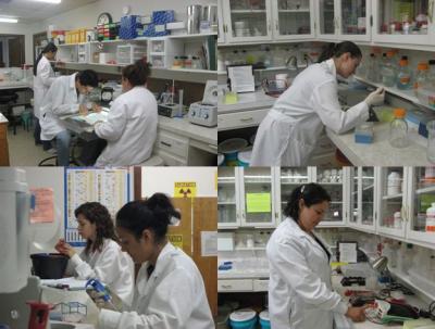 Internships Lead to Careers in Science