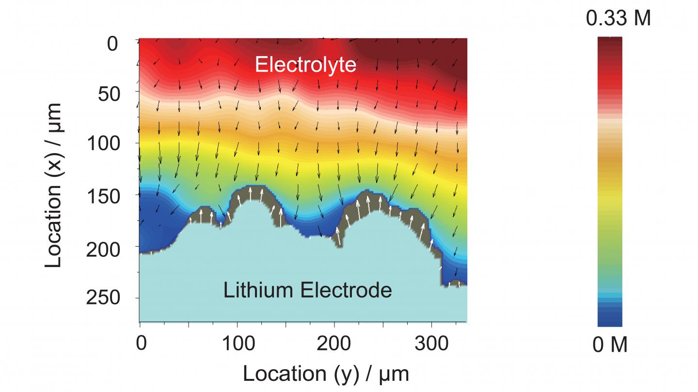 SRS Imaging Shows the Ionic Concentration Distribution