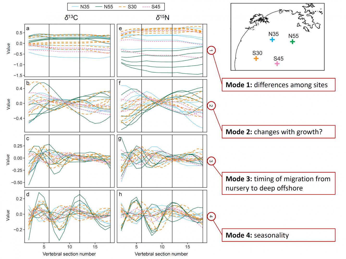 Fig. 2 Result of analysis