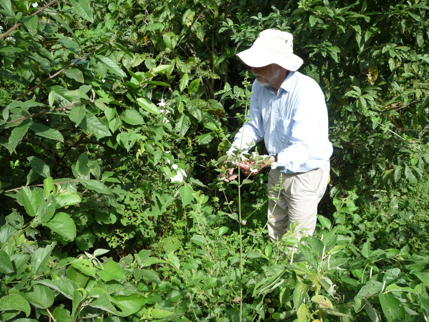 Oxford Team Member John Wood in Bolivia
