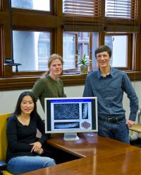 Ting Xu, Kari Thorkelsson and Peter Ercius, DOE/Lawrence Berkeley National Laboratory