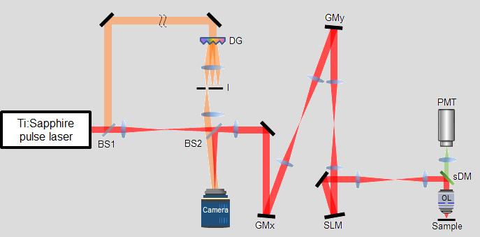 [Figure 1] Schematic of Reflection-Matrix Microscopy