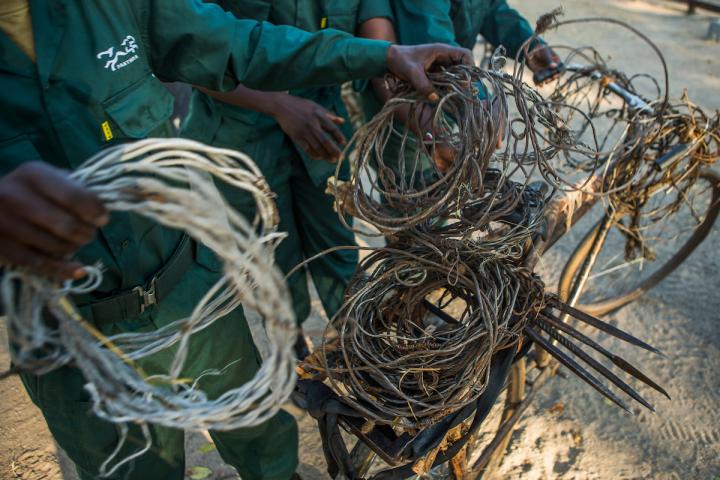 Spears, Bicycles, and Snares Confiscated from Poachers, Kafue National Park, Zambia