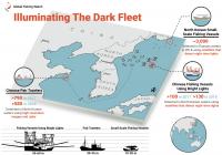 Illuminating the Dark Fleet