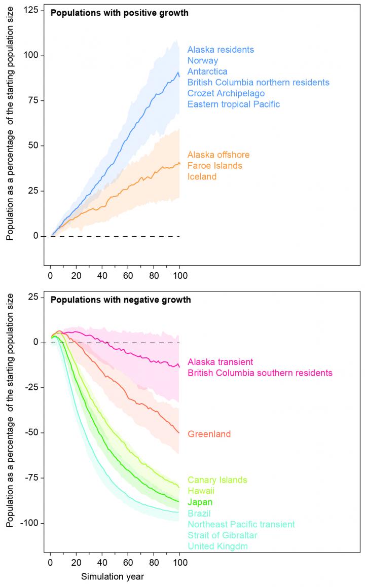 Population Development
